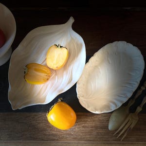 Late 20th Century Portuguese White Faience Botanical Dish