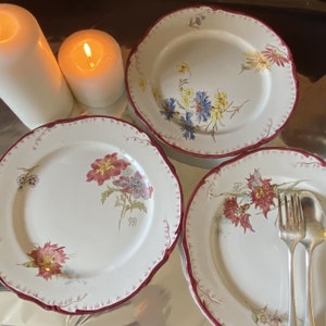 19th century Créil and Montereau Olga Polychrome Floral Plate, row B