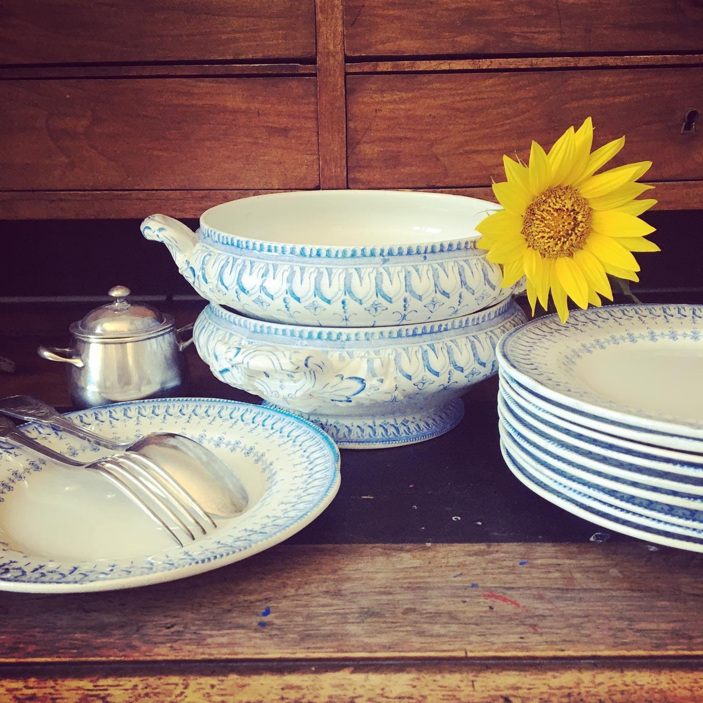 食器 creil et montrou SYLVA 19ème Siècle Creil Et Montereau Léguemier (sans Couvercle) Flora