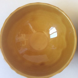 Barbotina para hacer mermeladas Sarreguemines de los años 70 imagen 8