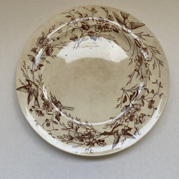19ème siècle WAA&Co Pax Assiette Plate 22,5cm Oiseaux et Fleurs motif Marron/19th century Diner Plate Birds and Flowers Pattern Brown 1-6