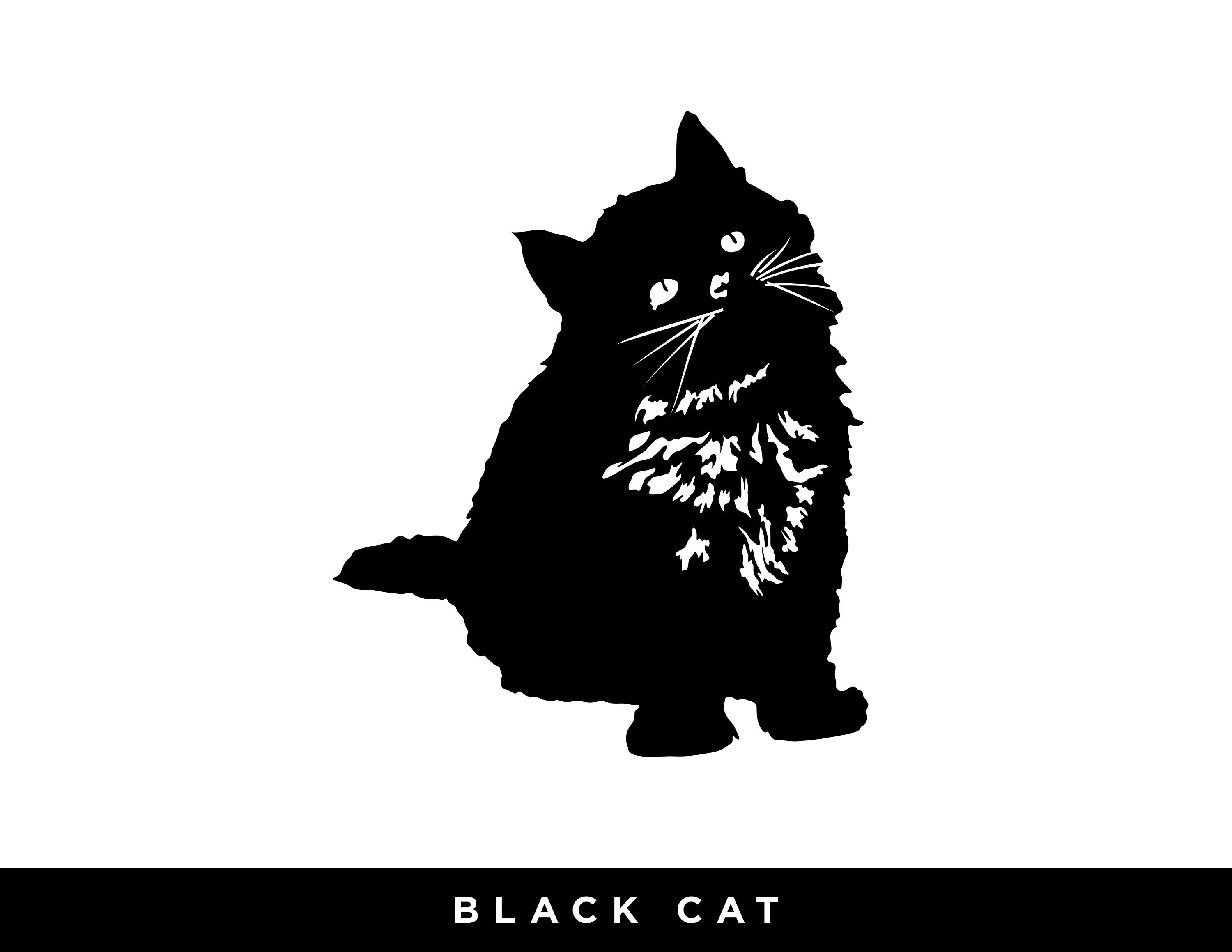 Black Cat - Etsy