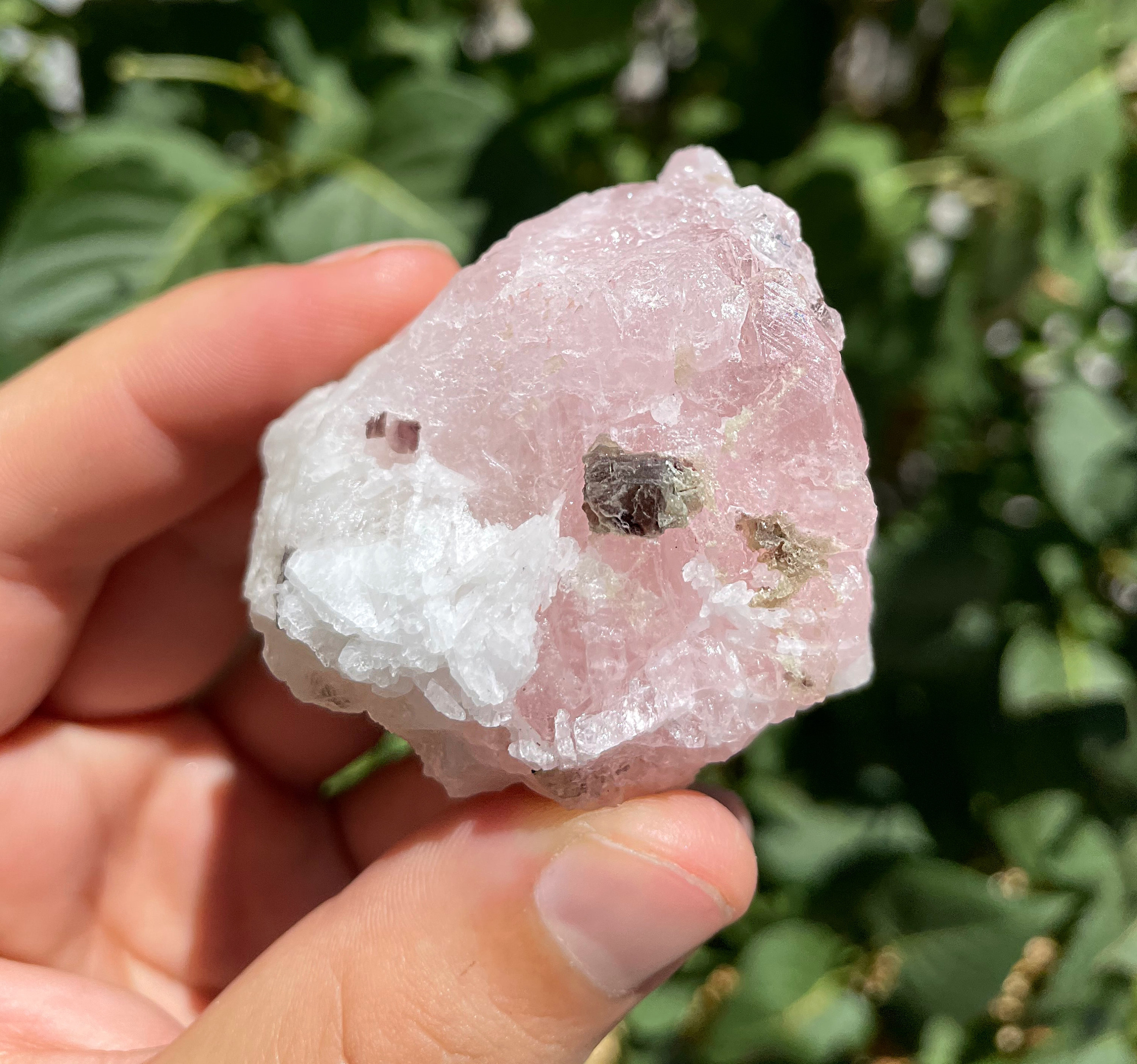 Heart Opening Raw Morganite Matrix With Aquamarine Lepidolite