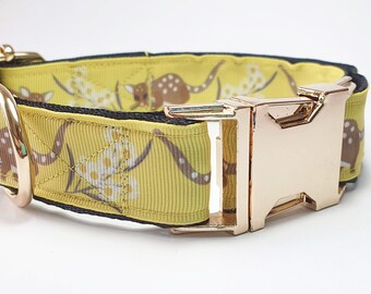 Yellow Quoll Dog Collar