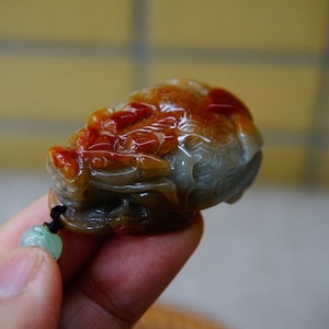 44MM Certified 100% Natural Untreated Grade A Green Brownish-red  Jadeite  Dragon Turtle Pendant Gemstone 3928