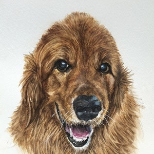 Golden Retriever - 5x7 print of original watercolor painting