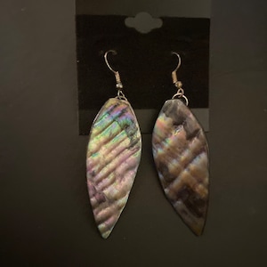 Abalone shell earrings