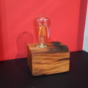Handmade alternative lamp || Driftwood lamp || Elegant rustic lamp