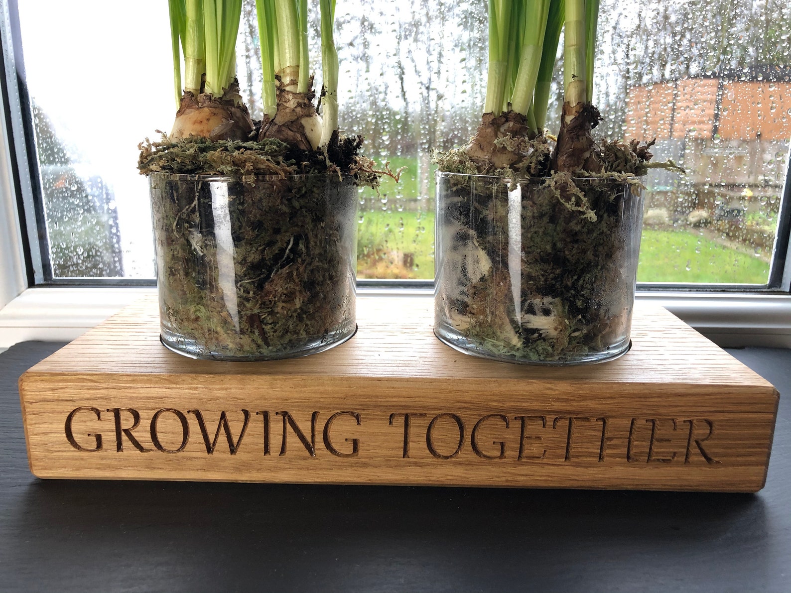 Herb Planter Garden Kitchen jardinera interior caja de | Etsy