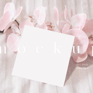 Mockup primavera carta quadrata/Mockup biglietto d'auguri digitale moderno/Fiore rosa matrimonio/Modello scheda doccia bambino semplice/JPG PSD Oggetto intelligente/M24