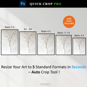 Op de afbeelding: Een advertentie voor een Photoshop-plugin, "Quick Crop Pro", voor Etsy-verkopers. De afbeelding toont vijf ingelijste kunstdrukken in verschillende beeldverhoudingen, elk met een tak in een witte vaas. Tekst luidt "Verander het formaat van uw kunst in 5 standaardformaten in seconden - Auto Crop Tool!"
