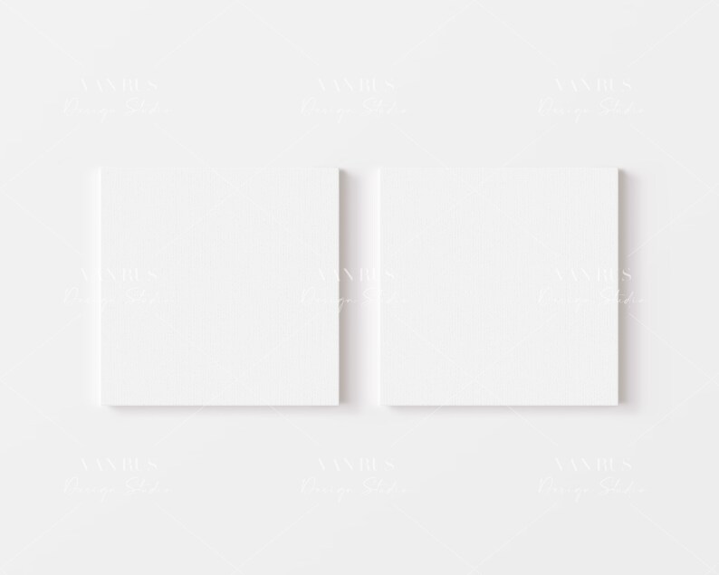 Puede incluir: Dos lienzos blancos en blanco est&aacute;n montados en una pared blanca. Los lienzos son cuadrados y tienen una superficie texturizada.