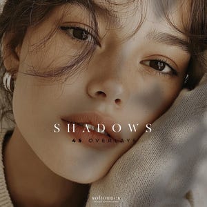 Ast- & Blattschatten-Overlays für stimmungsvolle Lichteffekte