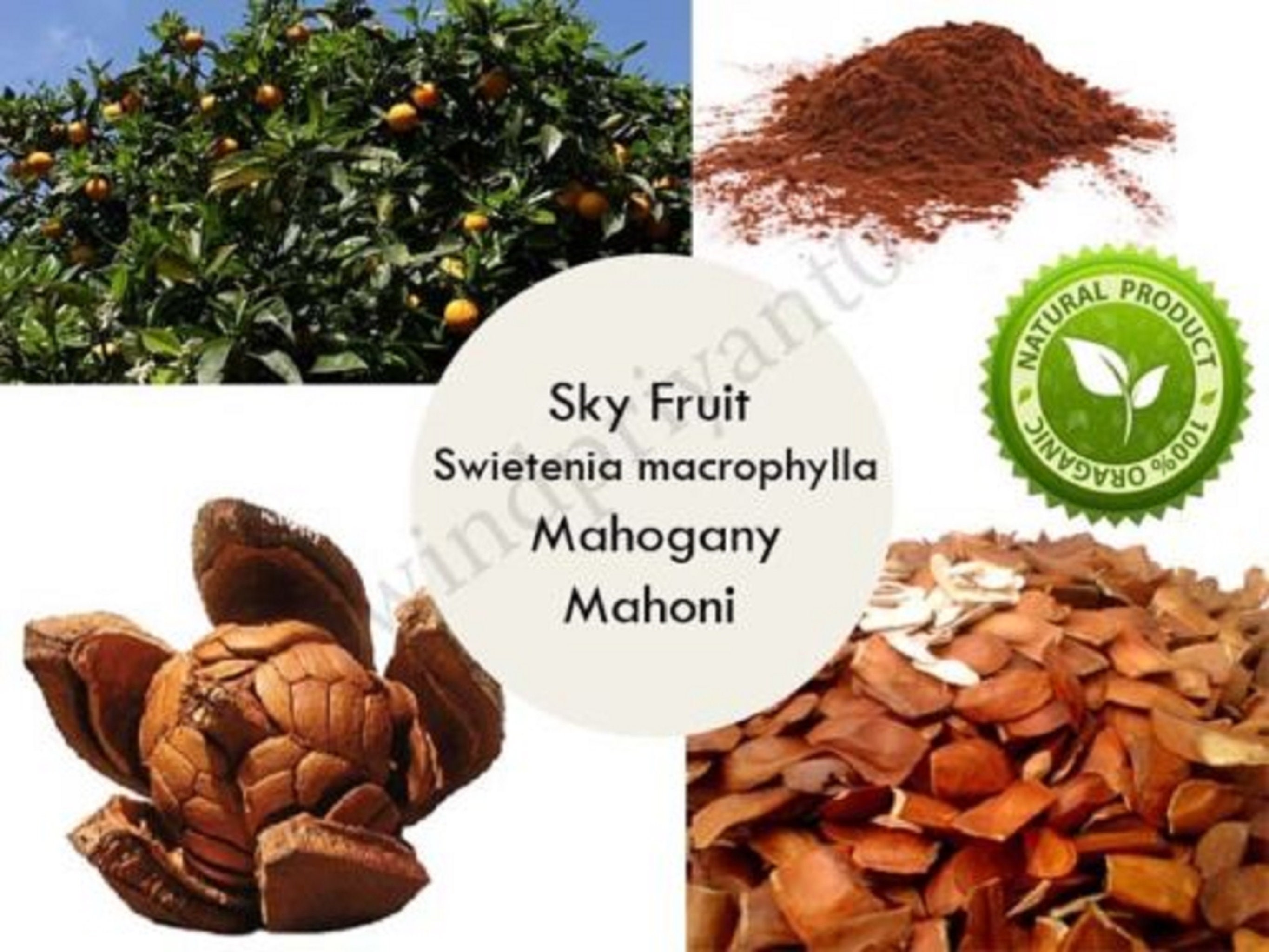 Sky Fruit 2000gram / 2kg Whole mahoganymahoniswietenia Etsy Canada