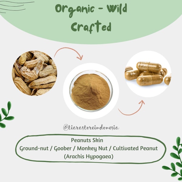 POUDRE / Capsules Arachides Peau Arachide Noix De Singe Noix Cacahuète Arachis Hypogaea Bio SauvageÉries Fraîches Naturelles LIVRAISON GRATUITE