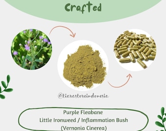 POUDRE / Capsules Purple Fleabane Little Ironweed Inflammation Bush Vernonia Cinerea Organic WildCrafted Fresh Natural Herbs