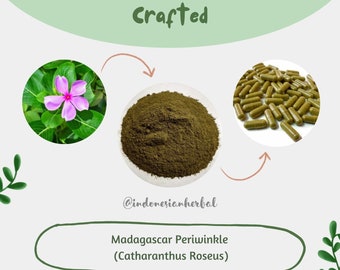 POUDRE / Capsules Madagascar Pervenche Catharanthus Roseus Bio SauvageMade Herbes Naturelles Fraîches LIVRAISON GRATUITE