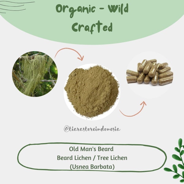 POWDER / Capsules Old Man's Beard Beard Lichen Tree Lichen Usnea Barbata Organic WildCrafted Fresh Natural Herbs