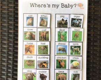 Animals and Baby Animals Matching Activity, Real Photographs, Learn Baby Animal Names, Autism and Kindergarten PDF Printable