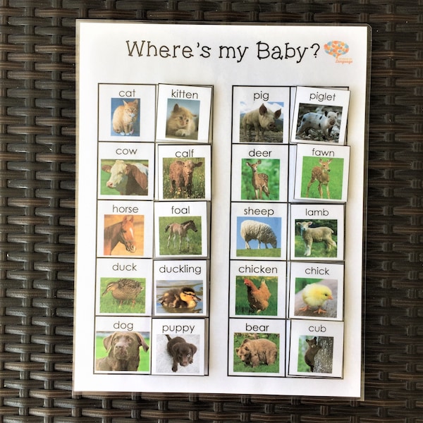 Animals and Baby Animals Matching Activity, Real Photographs, Learn Baby Animal Names, Autism and Kindergarten PDF Printable