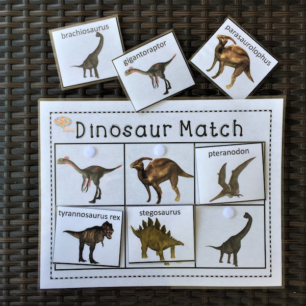 Dinosaur Match Activity, 6 Realistic Labeled Dinosaurs Matching Game, PDF Printable