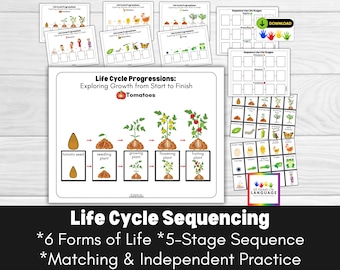 Activité de séquençage du cycle de vie : jeu d'associations en 5 étapes (PDF imprimable)
