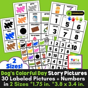 Dog&#39;s Colorful Day Adapt YOUR Book Story Pictures, Match to the Story, Engagement Activity, Autism Learning Printable Materials