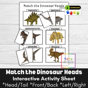 Atividade interativa de combinar as cabeças dos dinossauros, frente e verso, combinar as cabeças com as caudas, autismo e pré-escola PDF para impressão