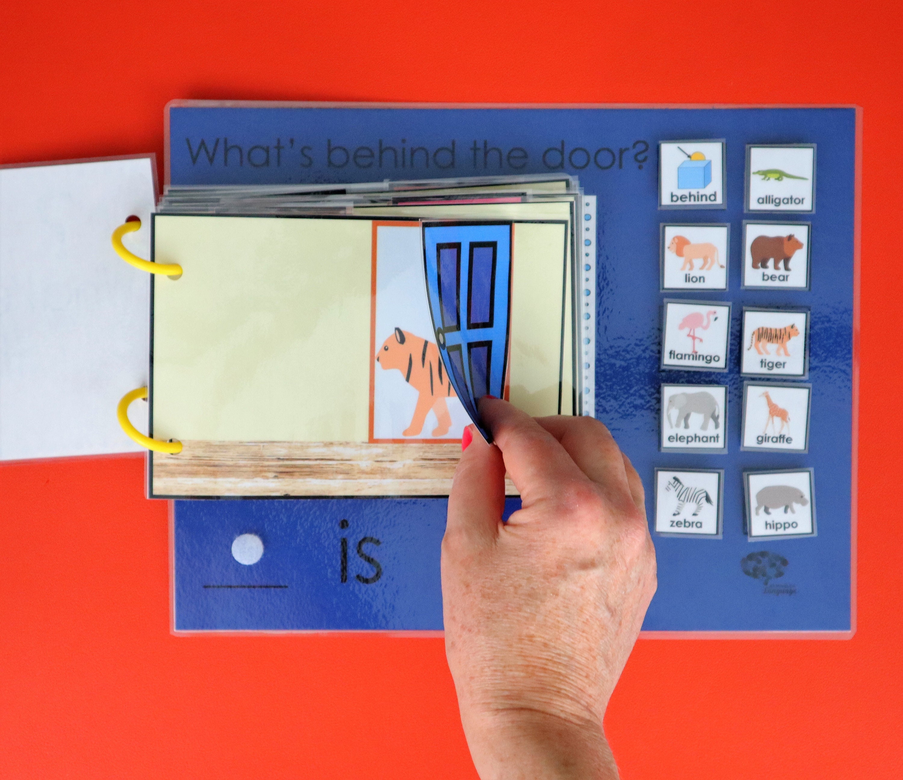 DIGITAL What's Behind the Door Interactive Flap Book Etsy