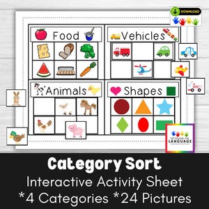 Category Sort Activity, 4 Categories-24 Pictures, Food, Animals, Vehicles, Shapes, Autism PDF Printable