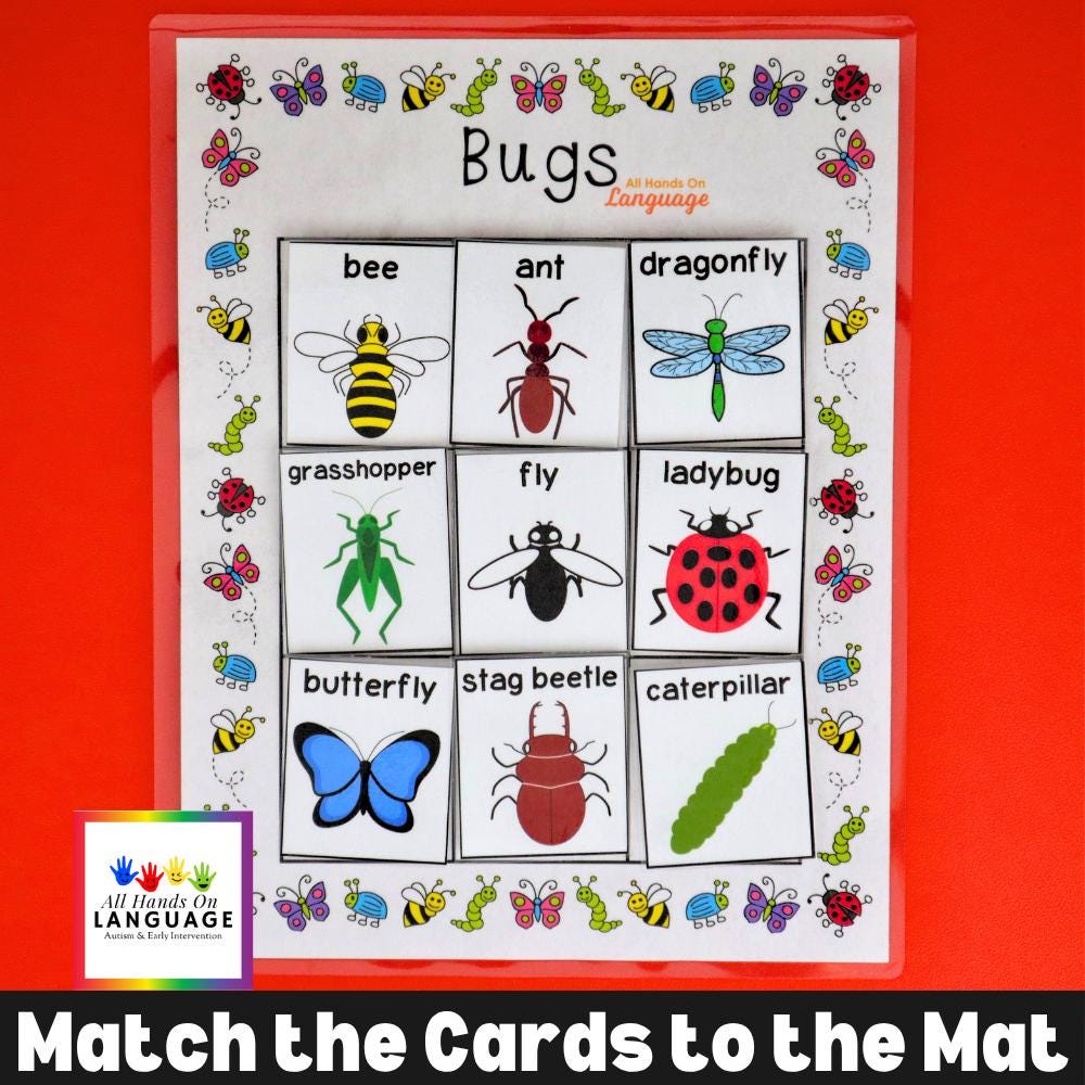 Bugs Matching Activity: Spring Garden Insects, Preschool Printable (PDF ...