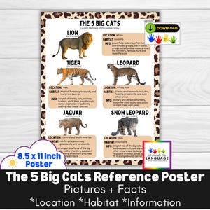 Póster de referencia de los cinco grandes felinos: ubicación, hábitat + información para león, tigre, leopardo, jaguar + leopardo de las nieves, PDF tamaño carta de EE. UU. imprimible