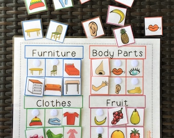 Category Matching Activity, 4 Categories-24 Pictures, Teach Categorization, Autism PDF Printable