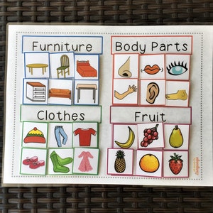 May include: A colorful educational chart with four categories: Furniture, Body Parts, Clothes, and Fruit. Each category has six images of common items, such as a chair, nose, hat, and banana.