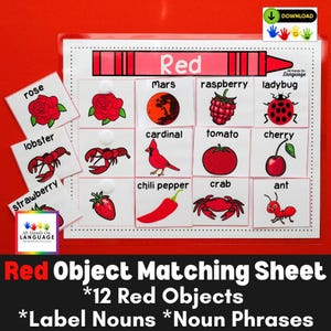 Red Object Matching Activity: Preschool & Autism (Printable PDF)