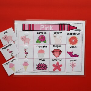Pink Object Matching Game: Autism & Preschool (Printable PDF)