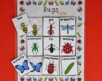 Bugs Matching Activity, 9 Labeled Bugs to Match, Spring Garden Insects Theme, Preschool and Autism Printable PDF