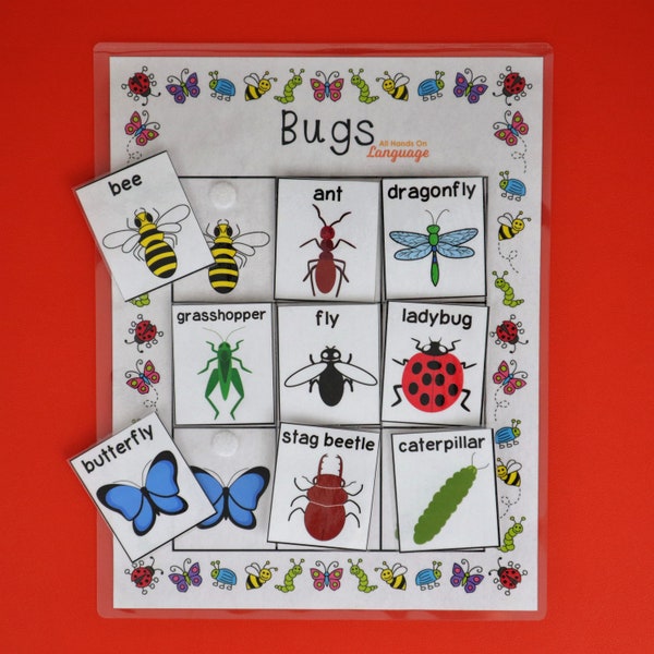 Bugs Matching Activity, 9 Labeled Bugs to Match, Spring Garden Insects Theme, Preschool and Autism Printable PDF