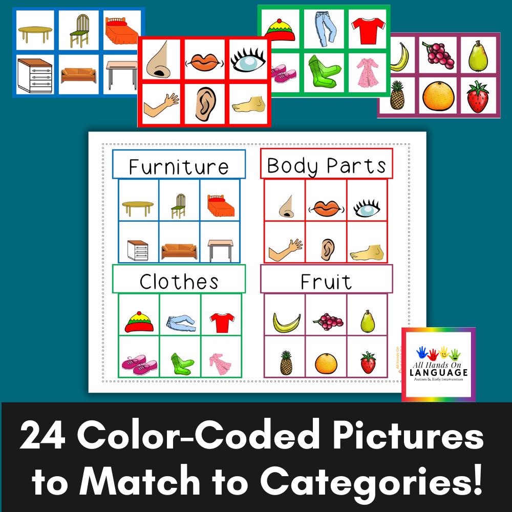 Category Matching Activity, 4 Categories-24 Pictures, Teach ...
