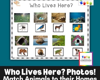 May include: An interactive activity sheet titled "Who Lives Here? Photos!" features images of animals and their habitats. The sheet includes a spider, bird, horse, bear, beaver, frog, and dog, among others. The sheet is designed to match animals to their homes.