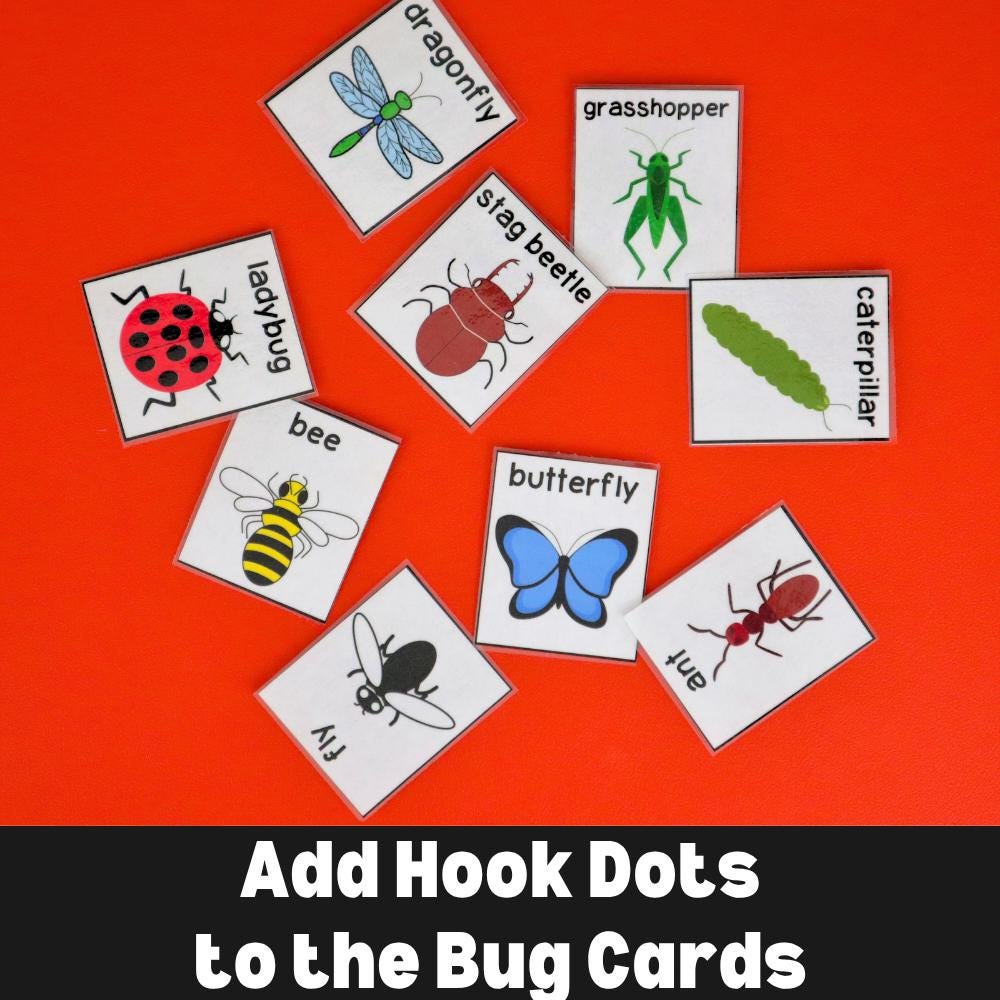 Bug Matching Craft Bugs Matching Activity: Spring Garden Insects, Preschool Printable (PDF ...