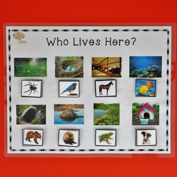 Animals and Homes Matching Activity, Who Lives Here? With Real Photographs, Autism PDF Printable