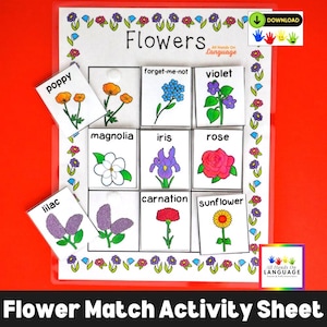 花の組み合わせアクティビティ、ラベル付きの花9つを合わせる、幼稚園と自閉症向けPDF印刷可能