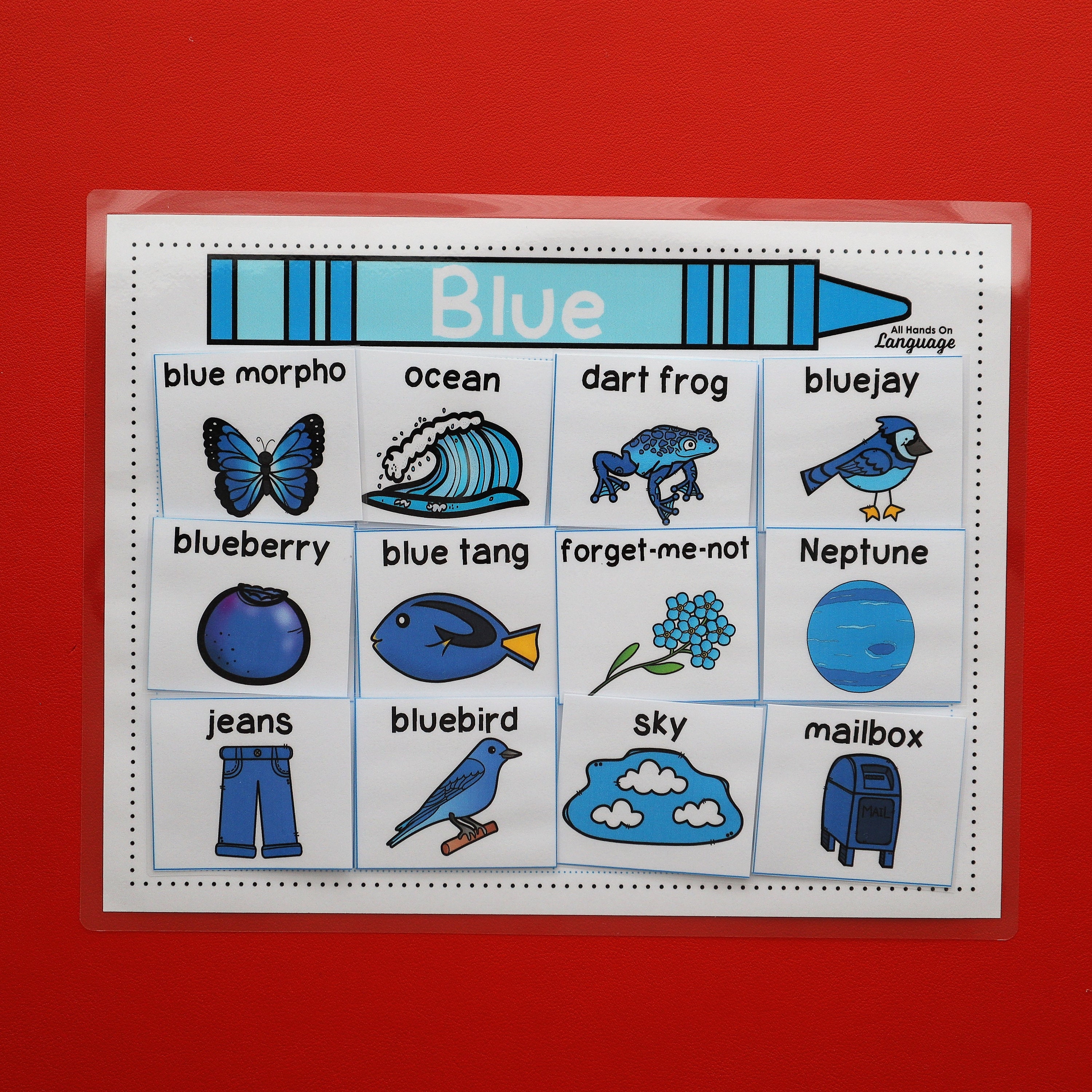 Pre-made Blue Matching Activity for Kids Match and Name