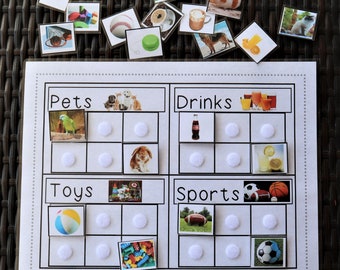 Category Sort 1 with Real Photographs Activity, 4 Categories-24 Pictures, Autism PDF Printable