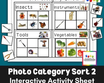 May include: A white educational activity sheet titled "Photo Category Sort 2" with four categories: Insects, Instruments, Tools, and Vegetables. Each category contains multiple pictures. The sheet includes the text "Interactive Activity Sheet *4 Categories *24 Pictures."
