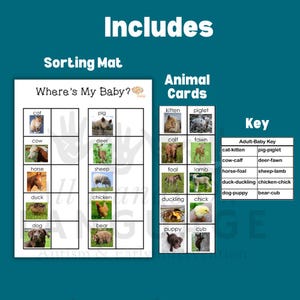 Op de afbeelding: Educatieve sorteermat met dierenafbeeldingen en de tekst "Waar is mijn baby?" bevat dierenkaarten en een sleutel. De mat toont afbeeldingen van volwassen dieren en hun baby's.