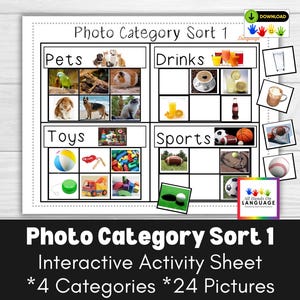 Photo Category Sort 1 Activity: Autism & Speech Therapy (PDF Printable)