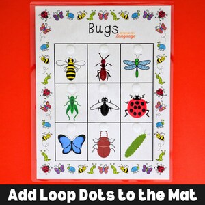 Bugs Matching Activity: Spring Garden Insects, Preschool Printable (PDF ...