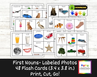 48 First Nouns Photo Flash Cards, Common Objects in Early Childhood, Speech Delay, Autism, PDF Printable